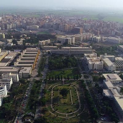 Mansoura University campus