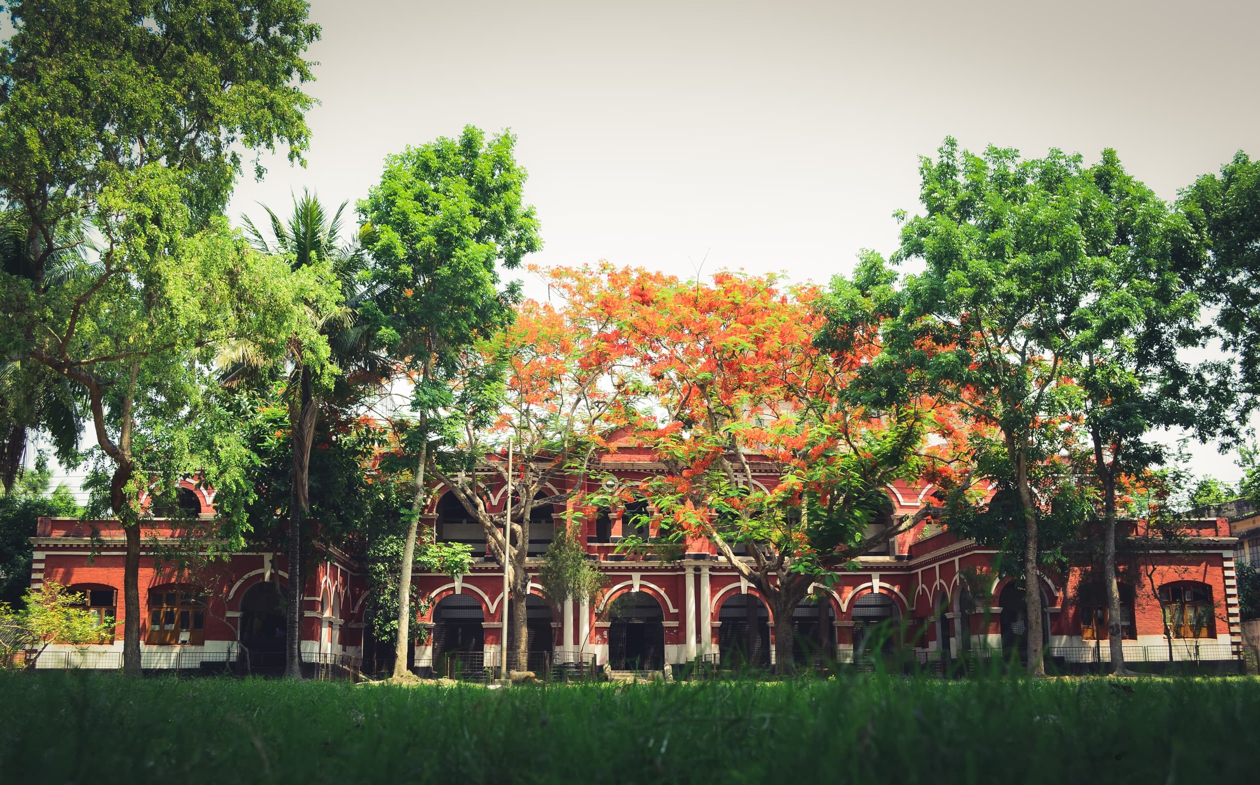 Faridpur Medical College campus photo 2